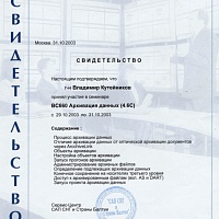 SAP Data Archiving